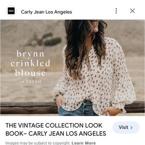 Carly Jean Los Angeles Bryan Crinkled Blouse